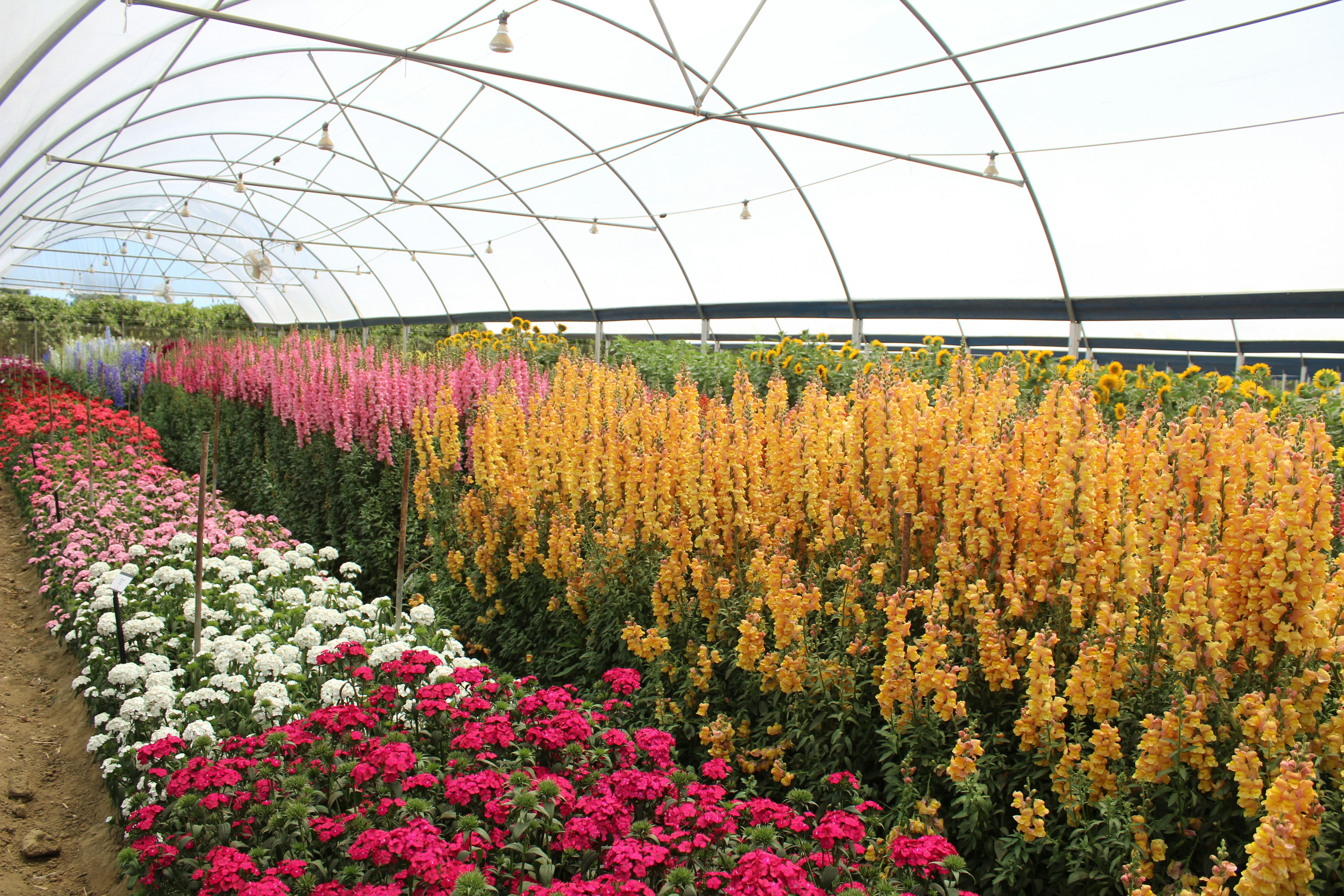 Indoor horticulture facility with ECO2MIX pH control